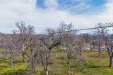 3799 Rancho Estates Road - Photo 62