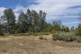 15388 Shadow Mountain Lane - Photo 13