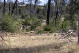 15388 Shadow Mountain Lane - Photo 22