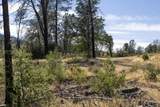 15388 Shadow Mountain Lane - Photo 23