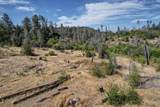 15388 Shadow Mountain Lane - Photo 4