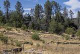 15388 Shadow Mountain Lane - Photo 8