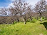 18920 Reeds Creek Road - Photo 68