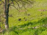 18920 Reeds Creek Road - Photo 70