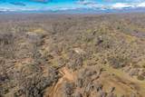  Black Pine Road - Photo 6