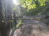  Fenders Ferry - Photo 7