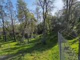 16928 Campo Calle - Photo 11
