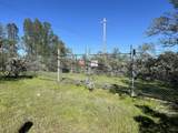 16928 Campo Calle - Photo 2