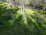 16928 Campo Calle - Photo 9