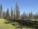 Lot 8-9 Harney Court - Photo 1