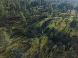  Buffalo Drive - Photo 10