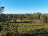 Buffalo Drive - Photo 2
