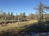  Buffalo Drive - Photo 5