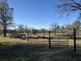  Buffalo Drive - Photo 6