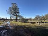  Buffalo Drive - Photo 7