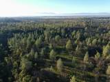  Buffalo Drive - Photo 8