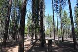 00000 Pine Shadows Road - Photo 1