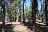 00000 Pine Shadows Road - Photo 2