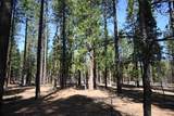 00000 Pine Shadows Road - Photo 3