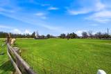 22112 Cholet Way - Photo 44