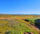  Leopard Dr. - Photo 2