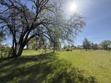 21752 Hidden Acres Road - Photo 8