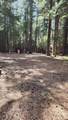 35475 Colossians Way - Photo 2