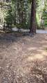 35475 Colossians Way - Photo 3