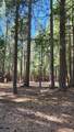 35475 Colossians Way - Photo 5