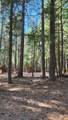 35475 Colossians Way - Photo 7