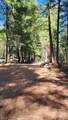 35475 Colossians Way - Photo 9