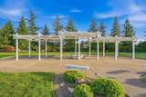 3031 Denice Way - Photo 8