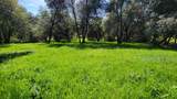 000 Placer Road - Photo 1