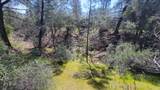 000 Placer Road - Photo 12