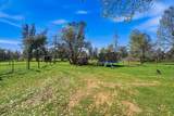 16533 Blue Horse Road - Photo 36