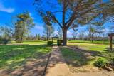 16533 Blue Horse Road - Photo 4