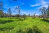 16533 Blue Horse Road - Photo 42