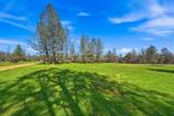 16533 Blue Horse Road - Photo 43