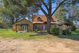 16533 Blue Horse Road - Photo 45