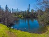 16533 Blue Horse Road - Photo 48
