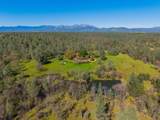 16533 Blue Horse Road - Photo 52