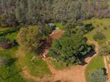 16533 Blue Horse Road - Photo 53