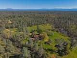 16533 Blue Horse Road - Photo 55