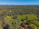16533 Blue Horse Road - Photo 56