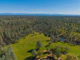 16533 Blue Horse Road - Photo 57