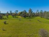 16533 Blue Horse Road - Photo 58