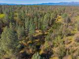 16533 Blue Horse Road - Photo 60
