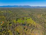 16533 Blue Horse Road - Photo 63