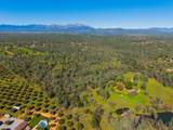 16533 Blue Horse Road - Photo 64