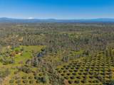 16533 Blue Horse Road - Photo 66